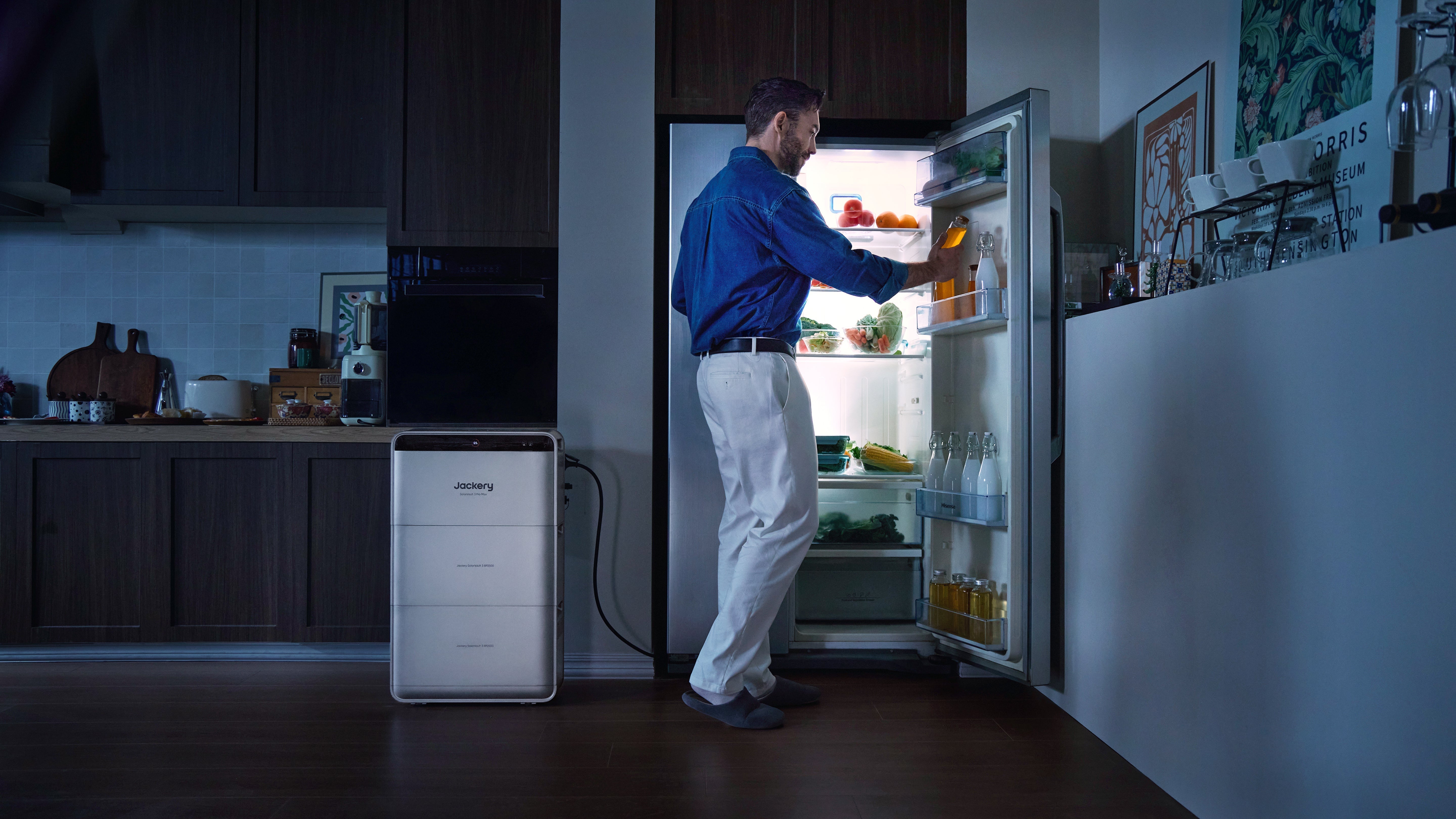 Plug-In (Plug & Play) thuisbatterij vergelijken met vaste thuisbatterij en powerstations?