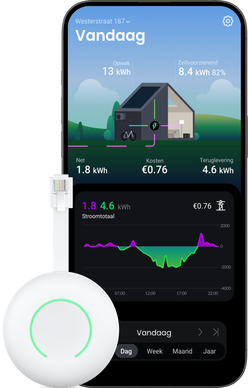 HomeWizard P1 meter